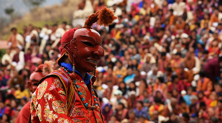 Cultural Immersion Tours