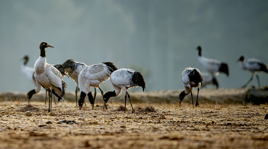 Photography & Custom Expeditions