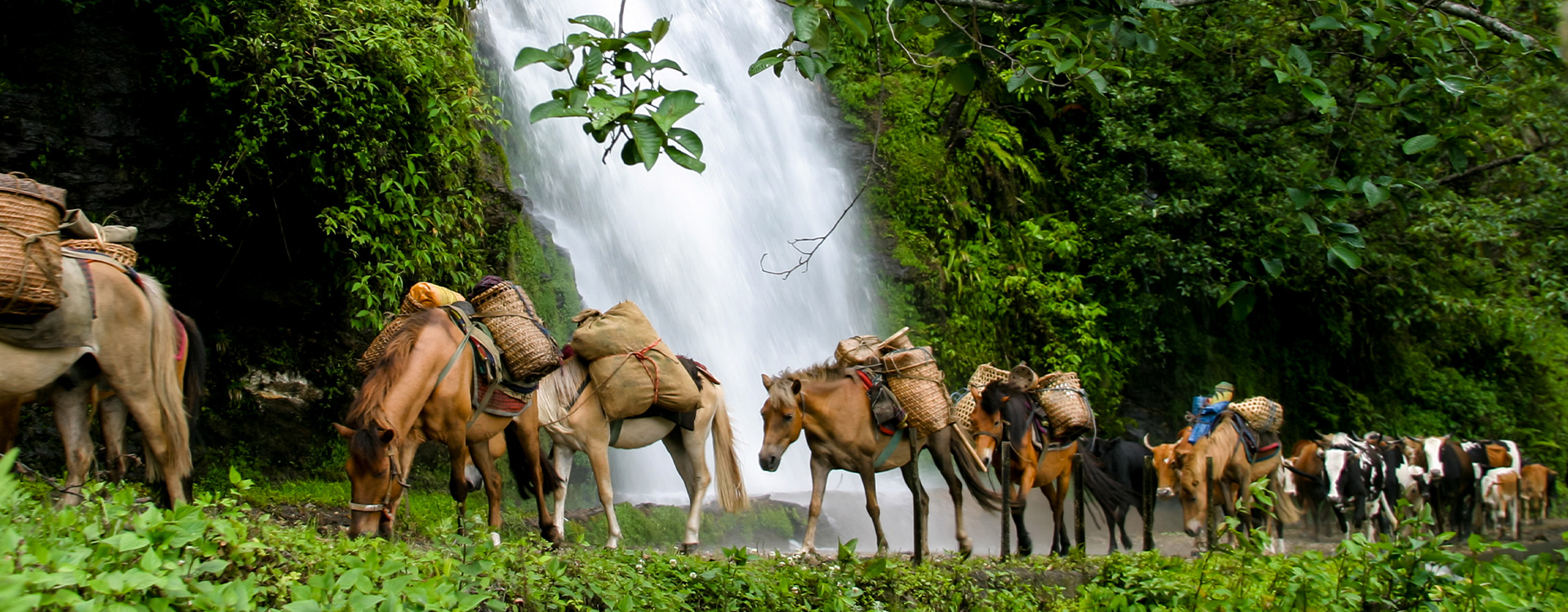 10 Days Path of the Clouds Trek Across Alpine Meadows Beneath Jomolharis Gaze-Yaktsa Trek