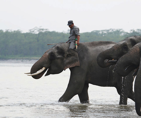 Manas Trek Expedition A Journey into Bhutan Wild South