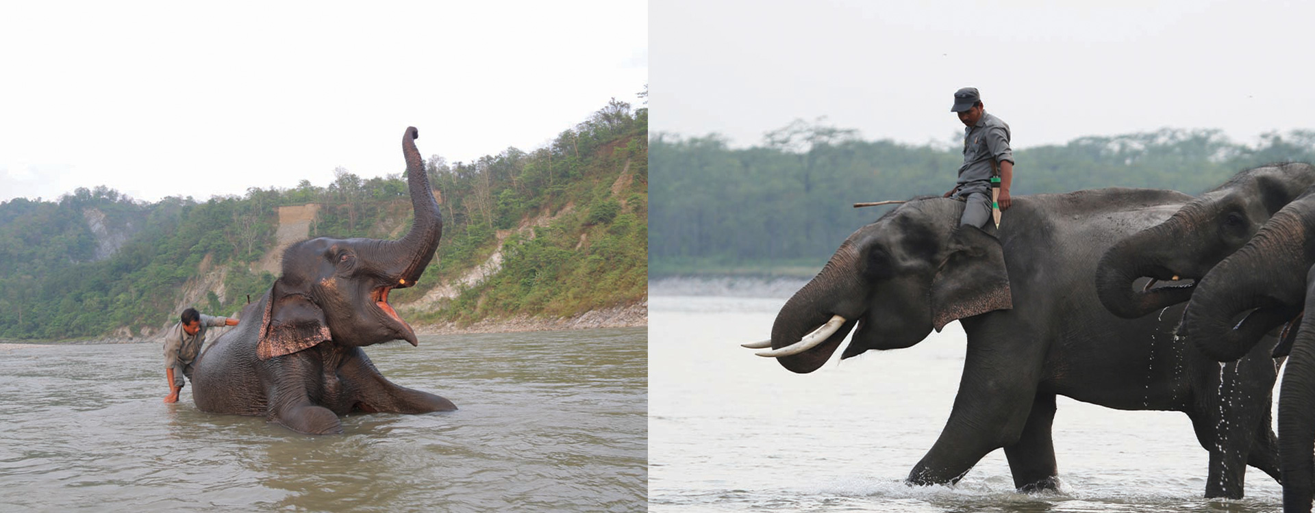 Manas Trek Expedition A Journey into Bhutan Wild South