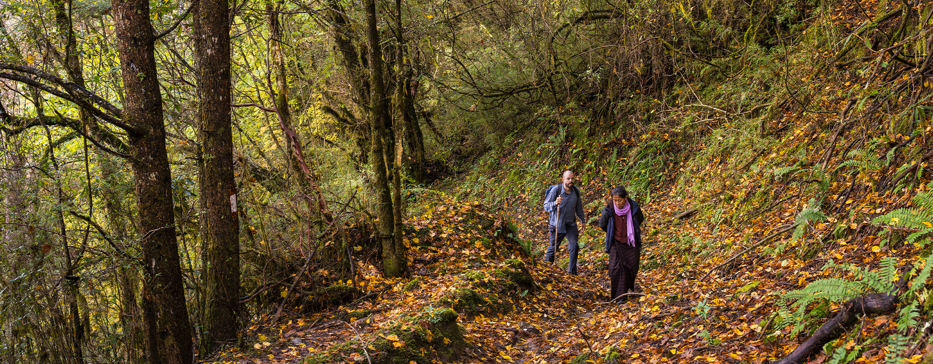 3 Days Bumthang Owl Trek