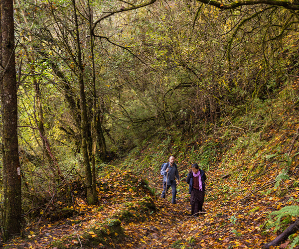 3 Days Bumthang Owl Trek