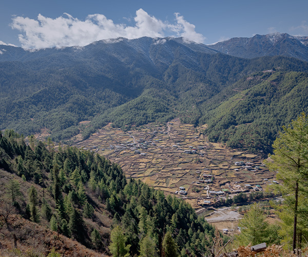 9 Nights and 10-Days Physical (Body) Quest