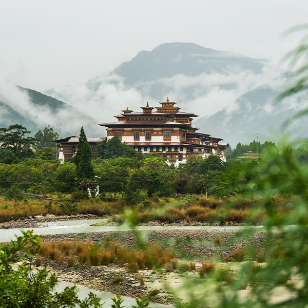 The Happiness Retreat