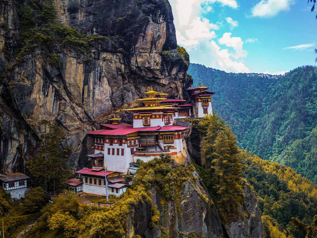 The Happiness Retreat