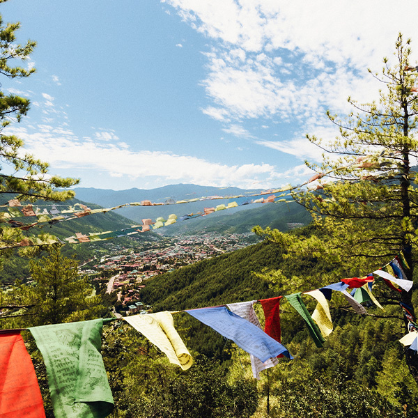 The Mountain's Whisper