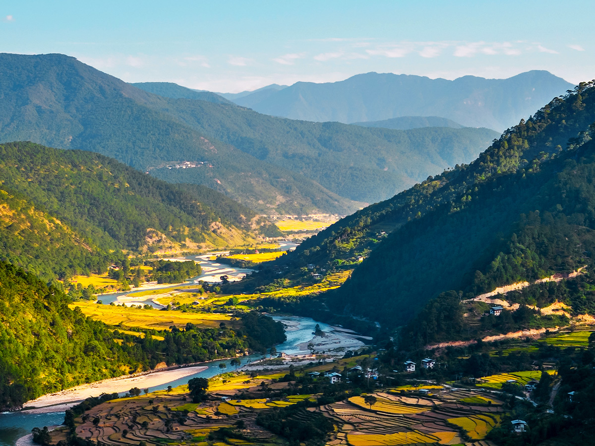 The Mountain's Whisper