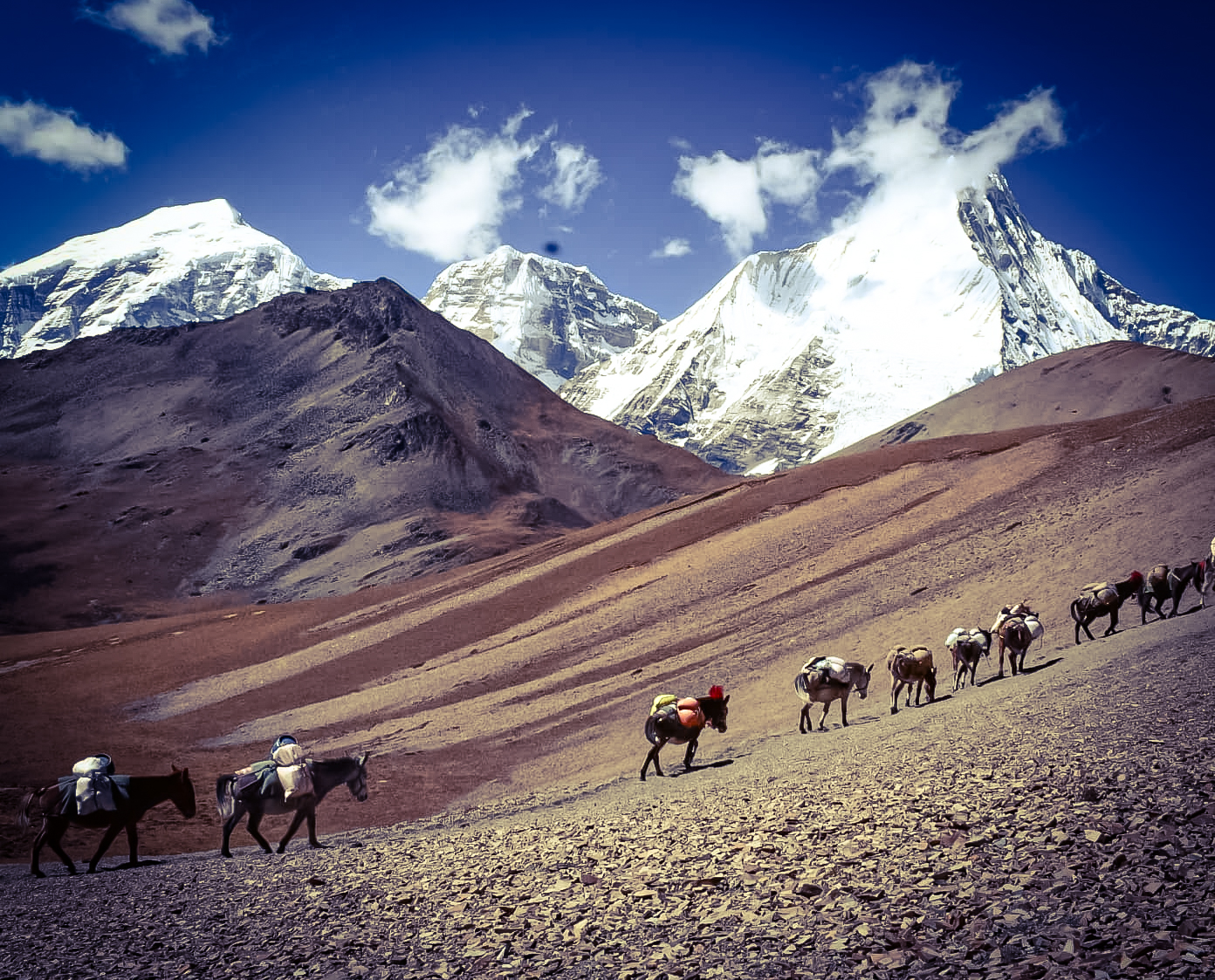 Trekking & Adventure Quest